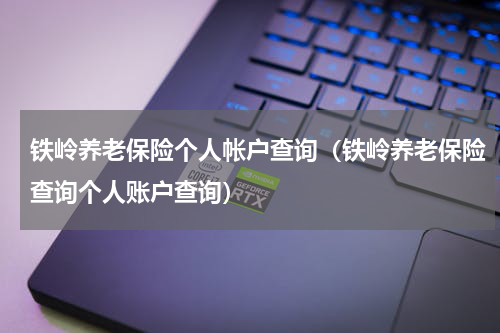 铁岭养老保险个人帐户查询（铁岭养老保险查询个人账户查询）