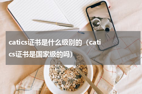 catics证书是什么级别的（catics证书是国家级的吗）