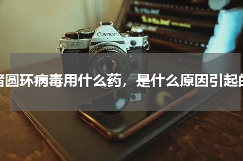 猪圆环病毒用什么药，是什么原因引起的