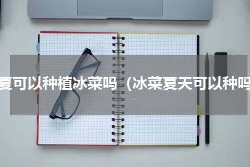 立夏可以种植冰菜吗（冰菜夏天可以种吗）