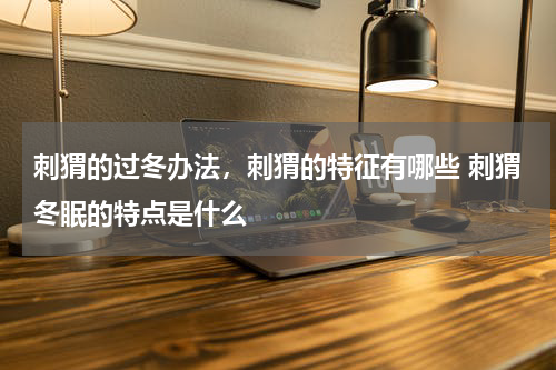 刺猬的过冬办法，刺猬的特征有哪些 刺猬冬眠的特点是什么