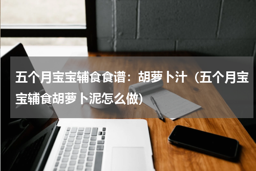 五个月宝宝辅食食谱：胡萝卜汁（五个月宝宝辅食胡萝卜泥怎么做）