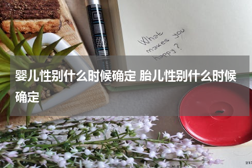 婴儿性别什么时候确定 胎儿性别什么时候确定