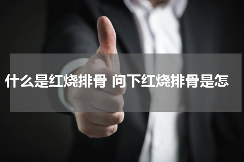 什么是红烧排骨 问下红烧排骨是怎