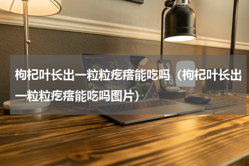 枸杞叶长出一粒粒疙瘩能吃吗（枸杞叶长出一粒粒疙瘩能吃吗图片）