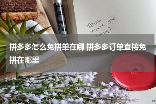 拼多多怎么免拼单在哪 拼多多订单直接免拼在哪里