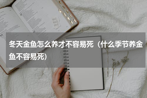 冬天金鱼怎么养才不容易死（什么季节养金鱼不容易死）