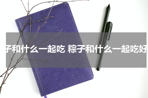 粽子和什么一起吃 粽子和什么一起吃好