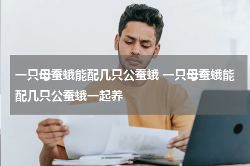 一只母蚕蛾能配几只公蚕蛾 一只母蚕蛾能配几只公蚕蛾一起养