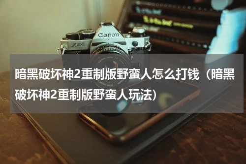 暗黑破坏神2重制版野蛮人怎么打钱（暗黑破坏神2重制版野蛮人玩法）