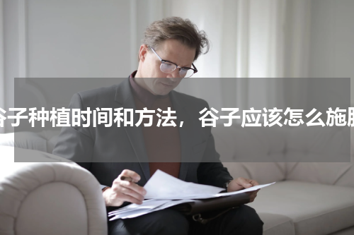 谷子种植时间和方法，谷子应该怎么施肥