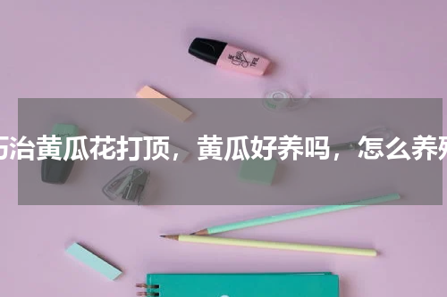 巧治黄瓜花打顶，黄瓜好养吗，怎么养殖