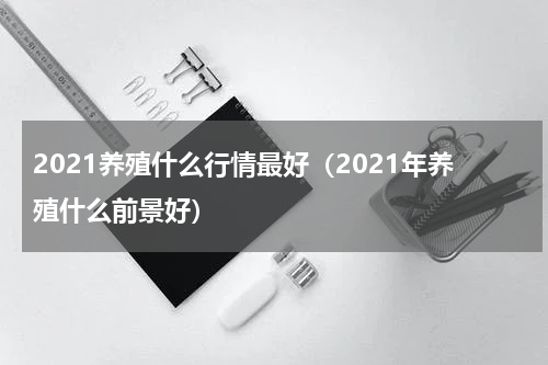 2021养殖什么行情最好（2021年养殖什么前景好）
