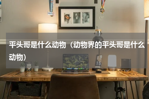 平头哥是什么动物（动物界的平头哥是什么动物）