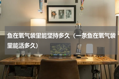 鱼在氧气袋里能坚持多久（一条鱼在氧气袋里能活多久）