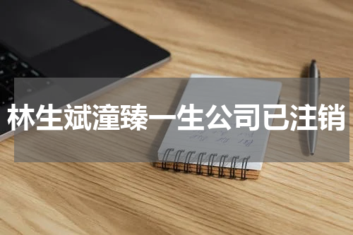 林生斌潼臻一生公司已注销