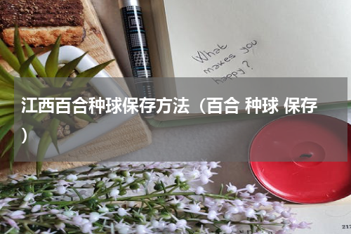江西百合种球保存方法（百合 种球 保存）