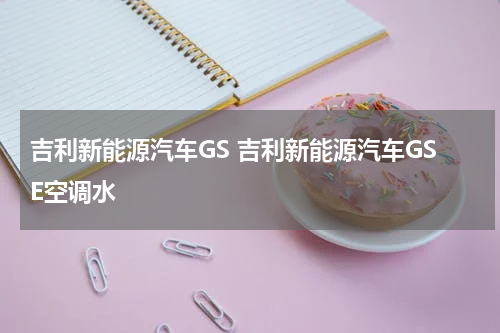 吉利新能源汽车GS 吉利新能源汽车GSE空调水