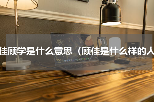 顾佳顾学是什么意思（顾佳是什么样的人）