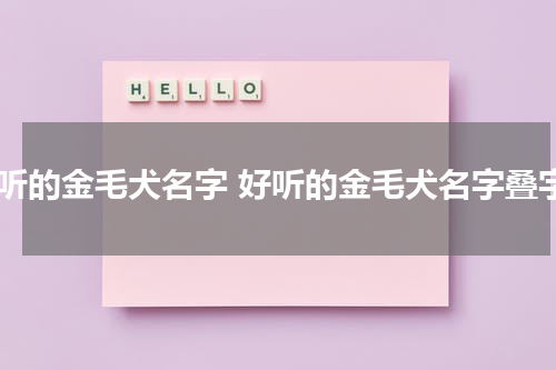 好听的金毛犬名字 好听的金毛犬名字叠字