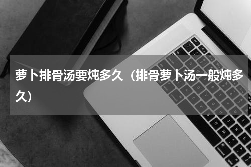 萝卜排骨汤要炖多久（排骨萝卜汤一般炖多久）