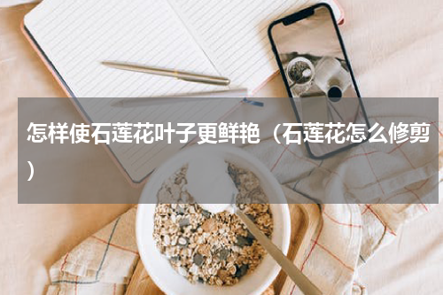 怎样使石莲花叶子更鲜艳（石莲花怎么修剪）