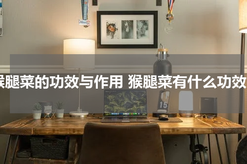 猴腿菜的功效与作用 猴腿菜有什么功效