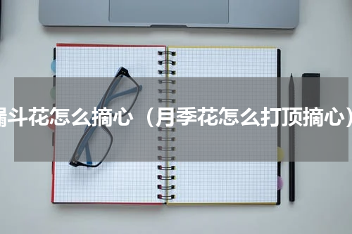 漏斗花怎么摘心（月季花怎么打顶摘心）