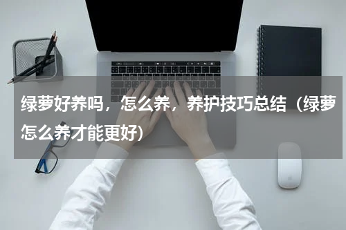 绿萝好养吗，怎么养，养护技巧总结（绿萝怎么养才能更好）