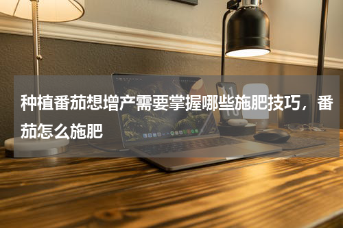 种植番茄想增产需要掌握哪些施肥技巧，番茄怎么施肥