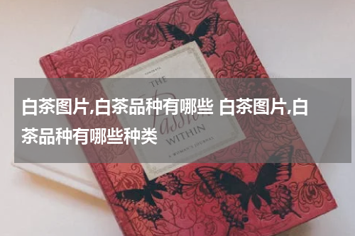 白茶图片,白茶品种有哪些 白茶图片,白茶品种有哪些种类