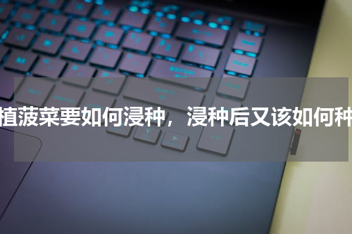 种植菠菜要如何浸种，浸种后又该如何种植