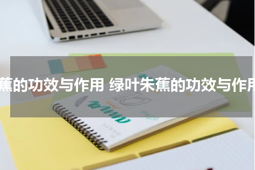 朱蕉的功效与作用 绿叶朱蕉的功效与作用