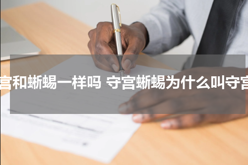 守宫和蜥蜴一样吗 守宫蜥蜴为什么叫守宫