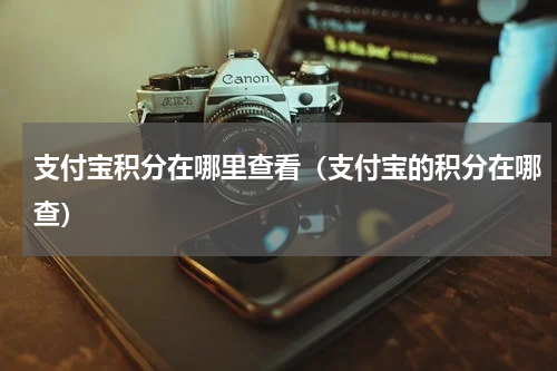 支付宝积分在哪里查看（支付宝的积分在哪查）