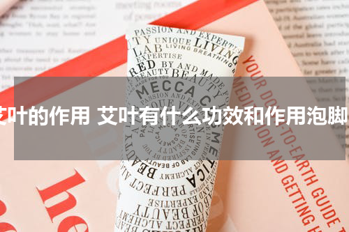 艾叶的作用 艾叶有什么功效和作用泡脚