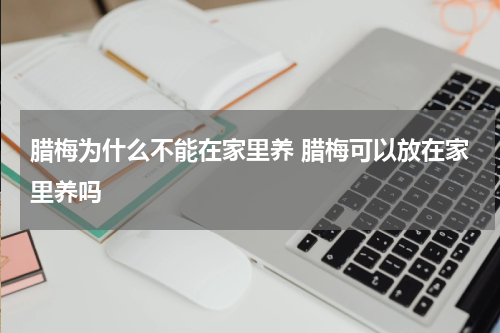 腊梅为什么不能在家里养 腊梅可以放在家里养吗
