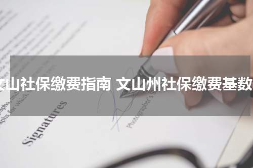 文山社保缴费指南 文山州社保缴费基数