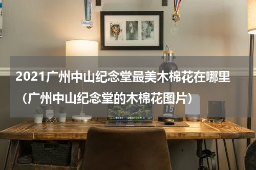 2021广州中山纪念堂最美木棉花在哪里（广州中山纪念堂的木棉花图片）