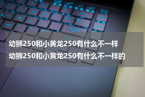 幼狮250和小黄龙250有什么不一样 幼狮250和小黄龙250有什么不一样的