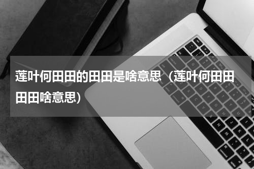 莲叶何田田的田田是啥意思（莲叶何田田 田田啥意思）