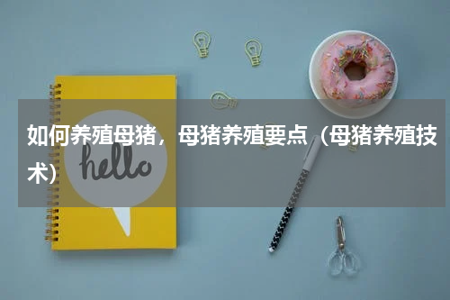 如何养殖母猪，母猪养殖要点（母猪养殖技术）