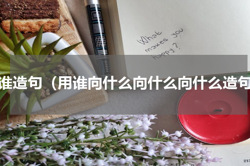向谁造句（用谁向什么向什么向什么造句）