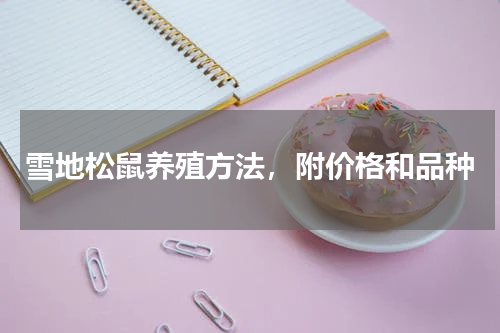 雪地松鼠养殖方法，附价格和品种