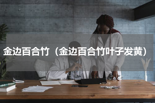 金边百合竹（金边百合竹叶子发黄）