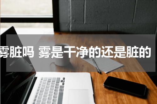 雾脏吗 雾是干净的还是脏的