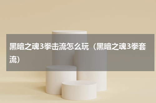 黑暗之魂3拳击流怎么玩（黑暗之魂3拳套流）
