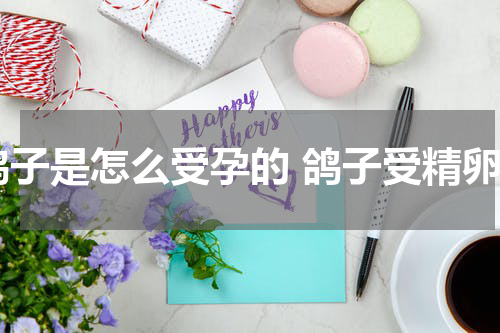 鸽子是怎么受孕的 鸽子受精卵