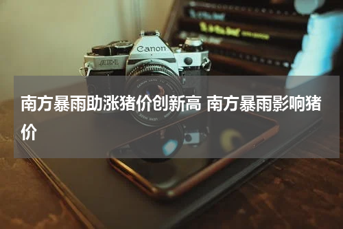 南方暴雨助涨猪价创新高 南方暴雨影响猪价