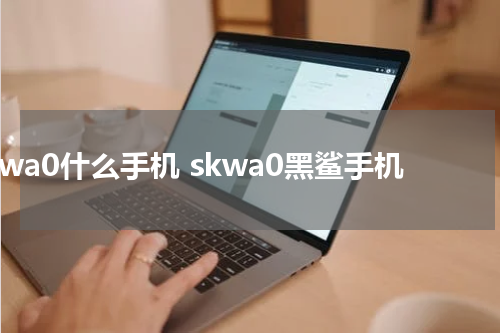 skwa0什么手机 skwa0黑鲨手机